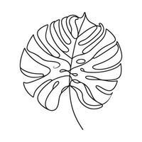 aesthetic decorative line art illustration of leaf, floral vector