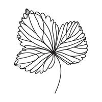 aesthetic decorative line art illustration of leaf, floral vector