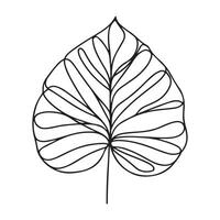 aesthetic decorative line art illustration of leaf, floral vector