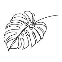 aesthetic decorative line art illustration of leaf, floral vector