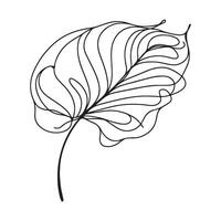 aesthetic decorative line art illustration of leaf, floral vector