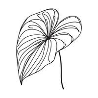 aesthetic decorative line art illustration of leaf, floral vector