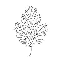 aesthetic decorative line art illustration of leaf, floral vector