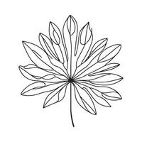 aesthetic decorative line art illustration of leaf, floral vector