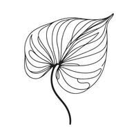 aesthetic decorative line art illustration of leaf, floral vector