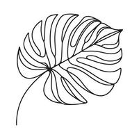 aesthetic decorative line art illustration of leaf, floral vector