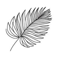 aesthetic decorative line art illustration of leaf, floral vector