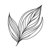 aesthetic decorative line art illustration of leaf, floral vector