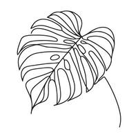 aesthetic decorative line art illustration of leaf, floral vector