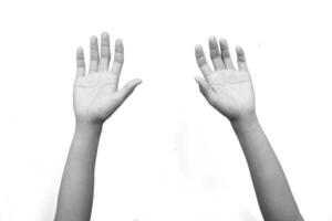 Man's hands isolated on white background, making a gesture. photo