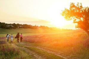 Two woman and two horses outdoor in summer happy sunset together nature photo