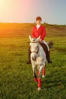 joven mujer jinete, vistiendo rojo redingote y blanco pantalones, con su caballo en noche puesta de sol ligero. foto