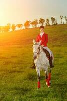 joven mujer jinete, vistiendo rojo redingote y blanco pantalones, con su caballo en noche puesta de sol ligero. foto