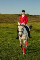 joven mujer jinete, vistiendo rojo redingote y blanco pantalones, con su caballo en noche puesta de sol ligero. foto