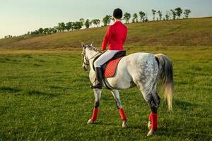 joven mujer jinete, vistiendo rojo redingote y blanco pantalones, con su caballo en noche puesta de sol ligero. foto