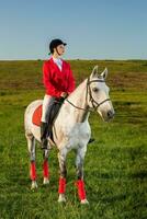 Young woman rider, wearing red redingote and white breeches, with her horse in evening sunset light. photo