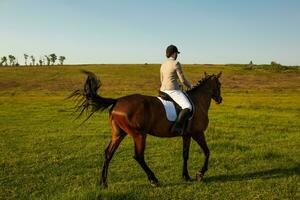 Young woman riding a horse on the green field photo