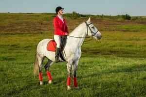 joven mujer jinete, vistiendo rojo redingote y blanco pantalones, con su caballo en noche puesta de sol ligero. foto