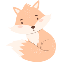 Cute  animal fox png