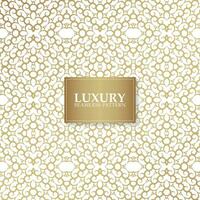 Luxury ornament pattern design background vector