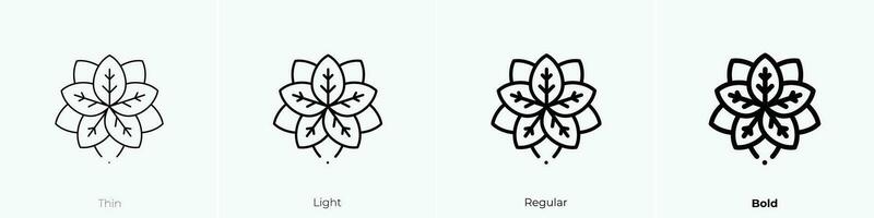 poinsettia icon. Thin, Light, Regular And Bold style design isolated on white background vector