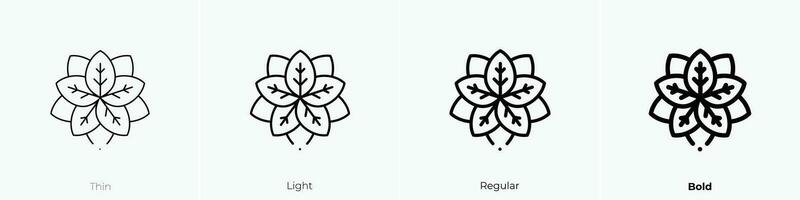 flor de pascua icono. delgado, luz, regular y negrita estilo diseño aislado en blanco antecedentes vector