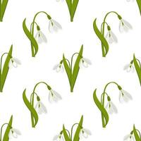Seamless pattern, white snowdrops on a white background Floral spring background, textile, print, vector