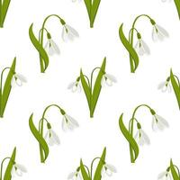 Seamless pattern, white snowdrops on a white background Floral spring background, textile, print, vector