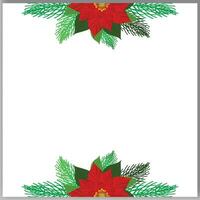 Vector Christmas tree branches and red poinsettia flower in a holiday line arrangement on a white  background