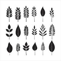 A black silhouette leaf symbol set vector