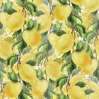 Lemons are yellow, juicy, ripe with green leaves, flower buds on the branches, whole and slices. Watercolor, hand drawn botanical illustration. Seamless pattern on a white background vector