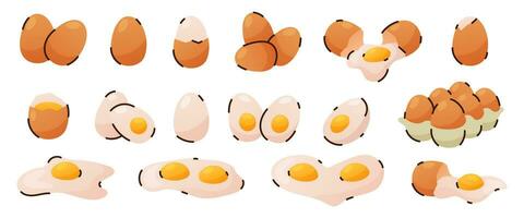 Set of organic chicken eggs vector