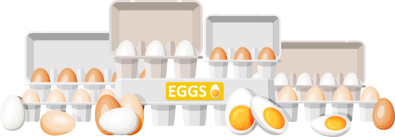 Set eggs in cardboard package png