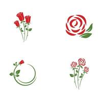 Beauty rose flower vector icon