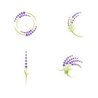 Lavender flower Vector icon illustration