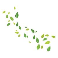 Eco nature Leaf Background Vector Illustration