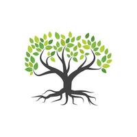 Tree branch vector ilustration design