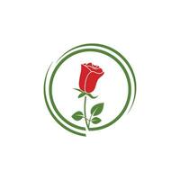 Beauty rose flower vector icon