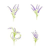 Lavender flower Vector icon illustration