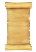 old scroll paper vertical vector