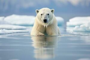 ai generado polar oso ursus maritimus en el paquete hielo, norte de Svalbard ártico Noruega, un polar oso ursus maritimus en el paquete hielo, norte de svalbard, ártico Noruega, ai generado foto