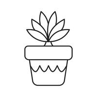 House Plants Vector Illustration Collection