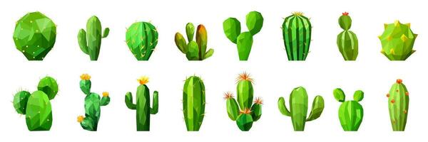 Set of a polygonal green cactus. Minimalist low poly art style collection. vector