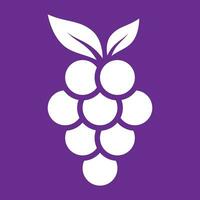 grapes logo template vector