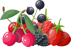 Beeren mit Grün Blätter png