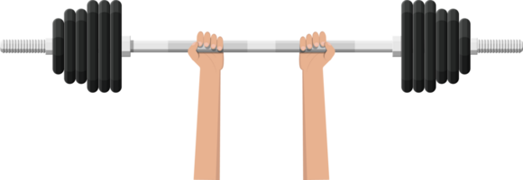 Barbell with metal weights. png