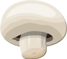 Ripe mushroom champignon png