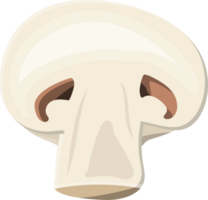 maturo fungo champignon png