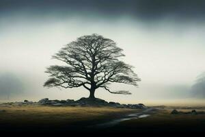 AI generated Majestic isolation a solitary tree emerges from the mist alone photo