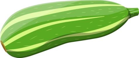 Green squash vegetable png